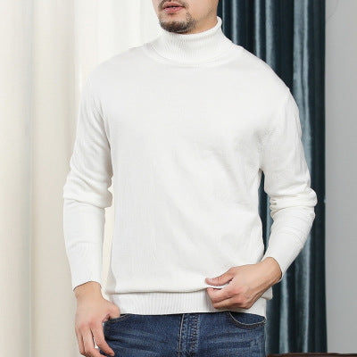 Pull Col Roulé Luxe en Maille Douce